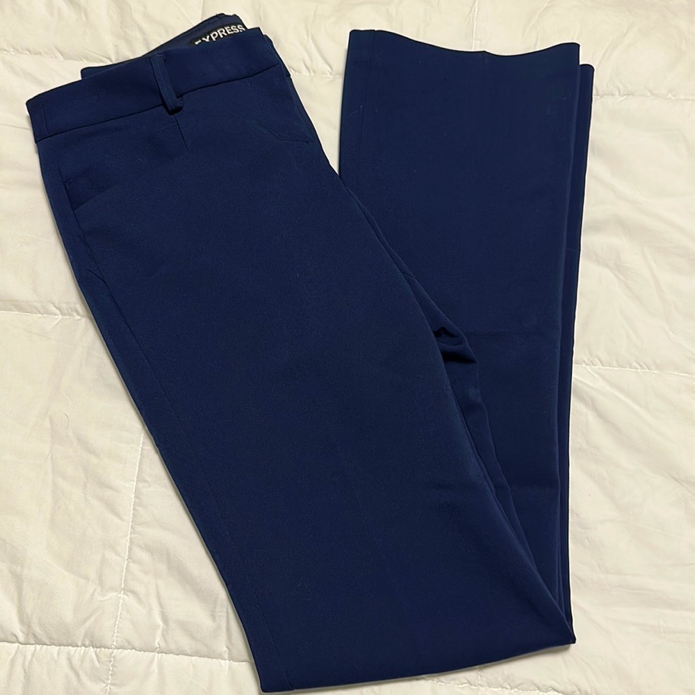 EXPRESS Columnist Dress Pants
